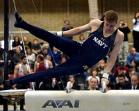 Navy Gymnastics 2015 Season